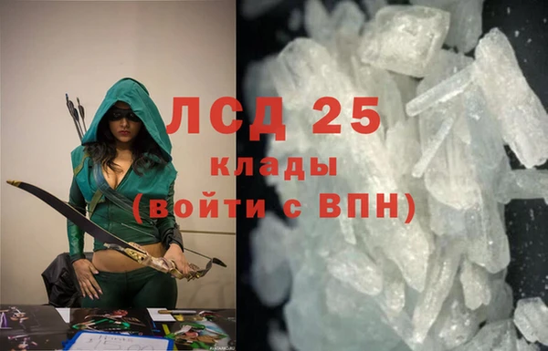 прущие грибы Дмитров
