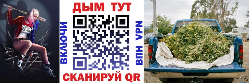 сколько стоит Суоярви Бошки Шишки Amnesia